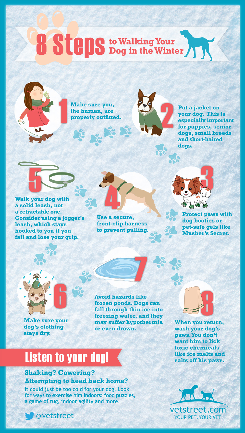 should you walk your dog in the cold