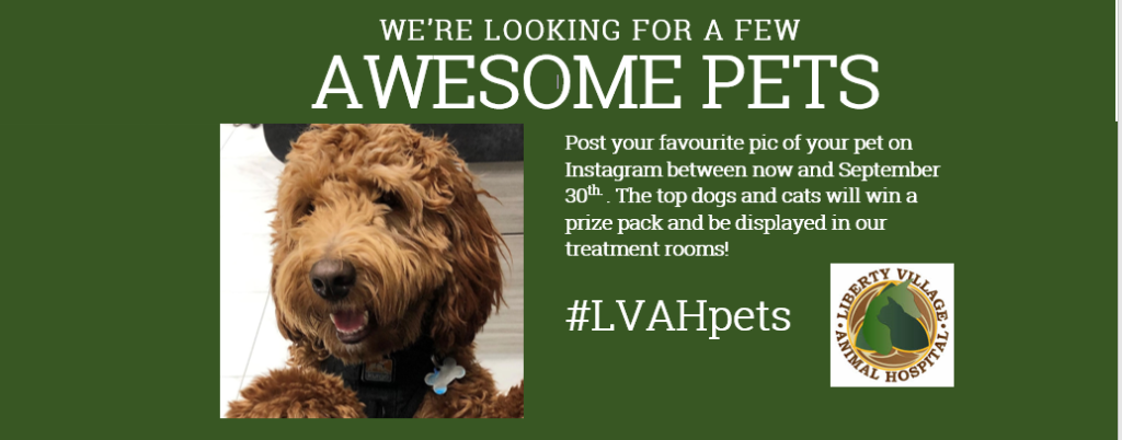 Liberty Village Animal Hospital wants pet pics