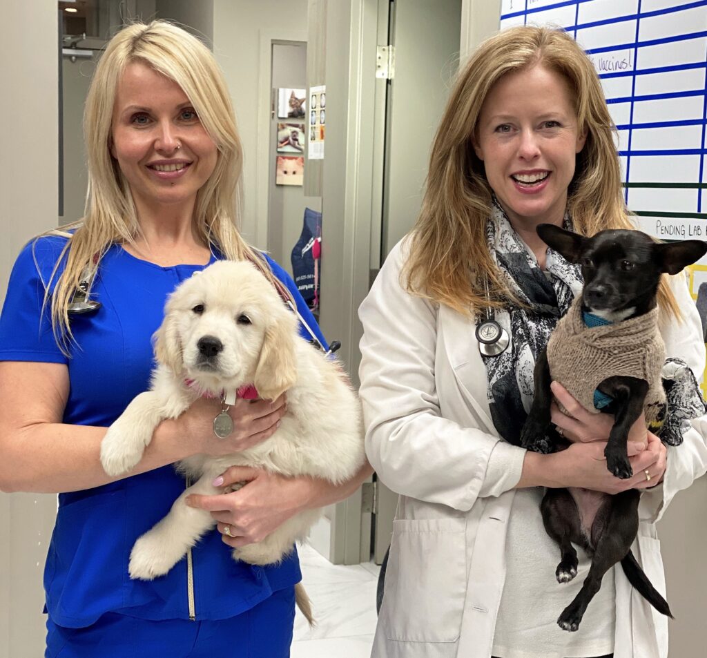 Veterinarians Ellen Kinzl and Erin Reid