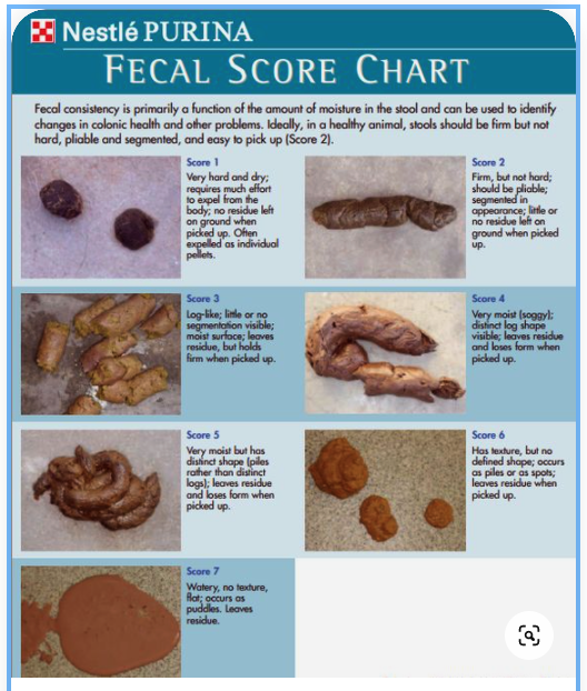 Fecal Score Chart